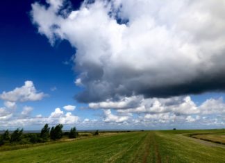 Bilderbogen Ostfriesland Loquard Krummhörn am Deich