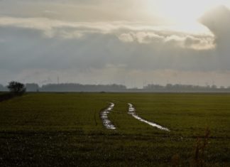 Loquard Krumhörn im Januar