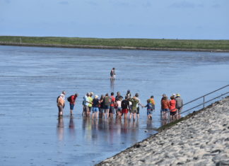 Wattwanderung für Fereingäste in Upleward Krummhörn Ostfriesland. Natur in der Nordsee erleben