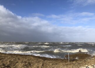 Ostfriesland Nordsee Wattenmeer Krummhörn Februar 2022