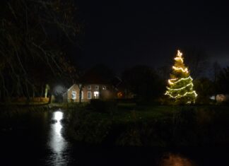 Der Weihnachtsbaum am Burggraben in Loquard