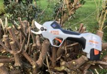 Endlich einmal eine feine hilfreiche Ast Schere - Die Stihl Akku ASA20