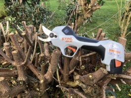 Endlich einmal eine feine hilfreiche Ast Schere - Die Stihl Akku ASA20