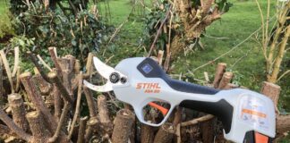 Endlich einmal eine feine hilfreiche Ast Schere - Die Stihl Akku ASA20