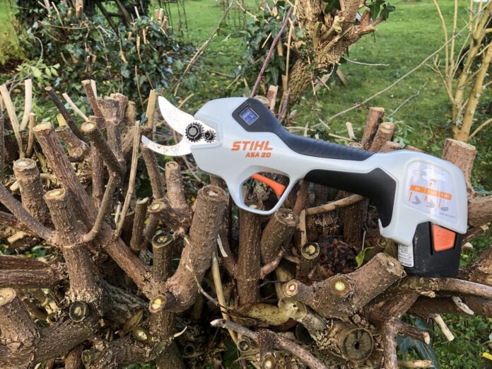 Endlich einmal eine feine hilfreiche Ast Schere - Die Stihl Akku ASA20