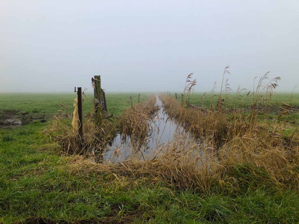 Zwischen Campen und Woltzeten Ruhe, Natur, Landwirtschaft